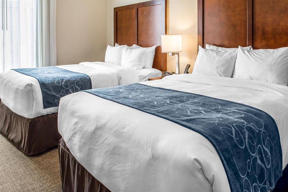 Comfort Suites Near Potomac Mills Woodbridge Exteriér fotografie